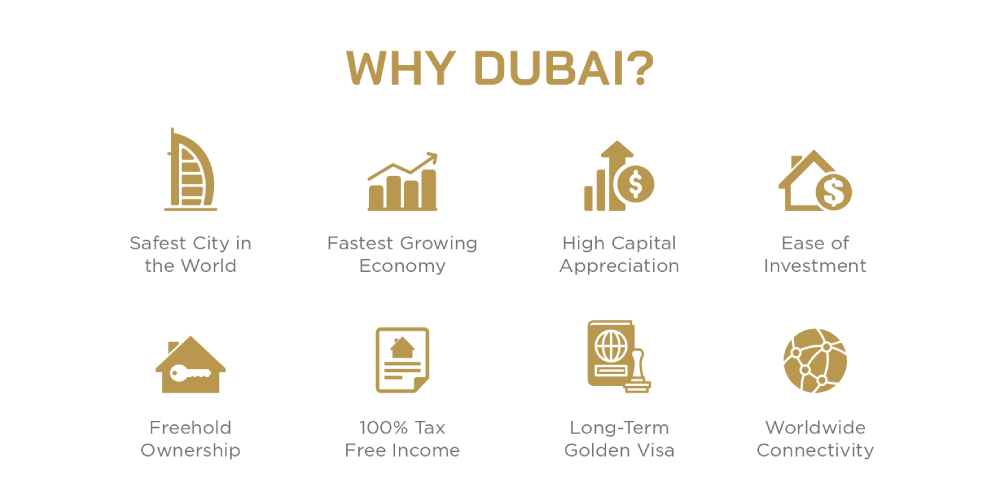 bayz 102 brochure en page 0007 min